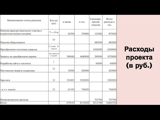 Расходы проекта (в руб.)