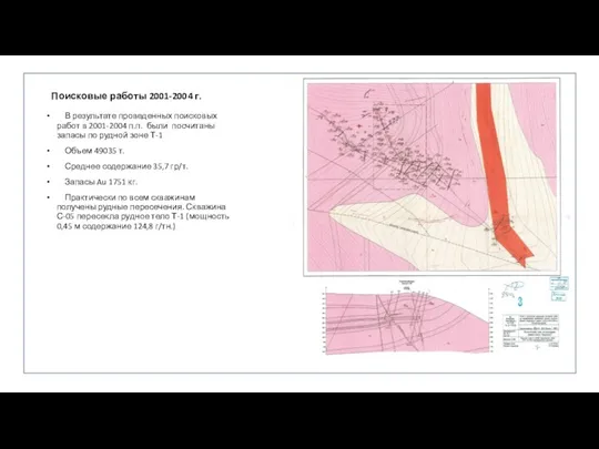 Поисковые работы 2001-2004 г. В результате проведенных поисковых работ в 2001-2004 п.п. были