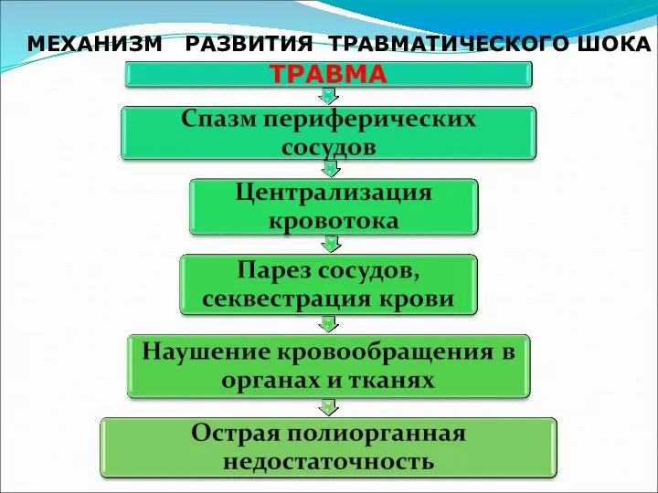 МЕХАНИЗМ РАЗВИТИЯ ТРАВМАТИЧЕСКОГО ШОКА