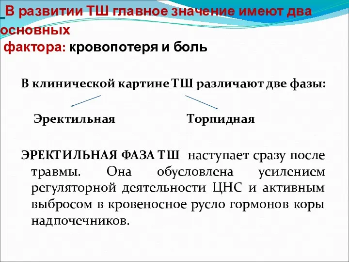 В развитии ТШ главное значение имеют два основных фактора: кровопотеря