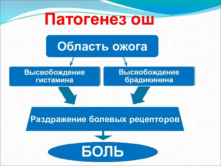 Патогенез ош Раздражение болевых рецепторов Область ожога