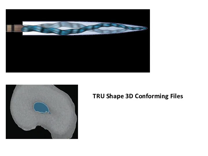 TRU Shape 3D Conforming Files