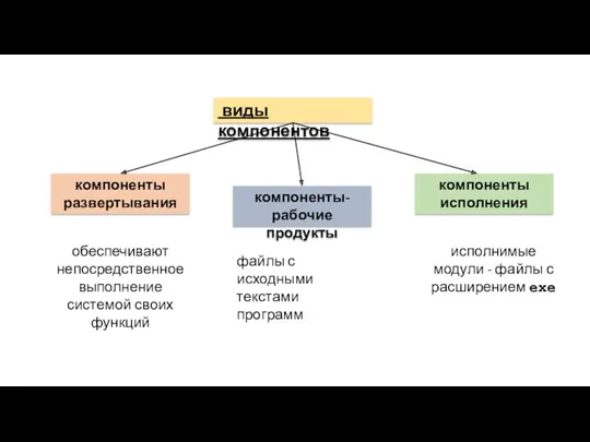 виды компонентов компоненты развертывания компоненты-рабочие продукты компоненты исполнения обеспечивают непосредственное