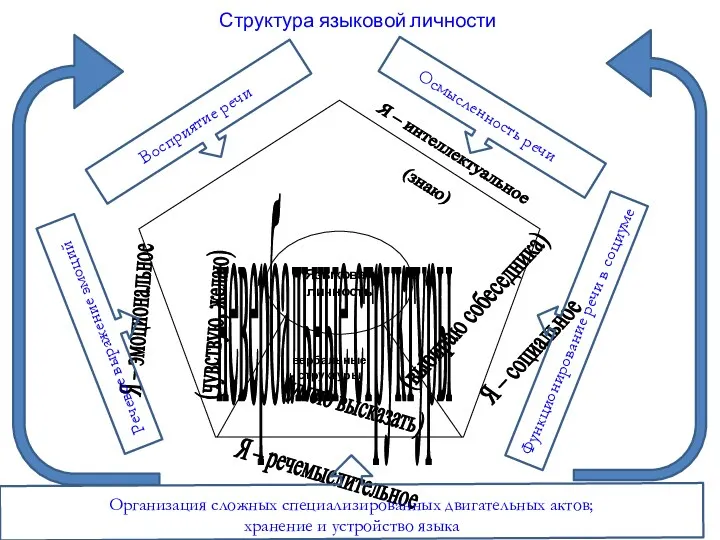 Структура языковой личности Организация сложных специализированных двигательных актов; хранение и устройство языка Функционирование речи в социуме