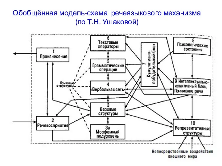 Обобщённая модель-схема речеязыкового механизма (по Т.Н. Ушаковой)