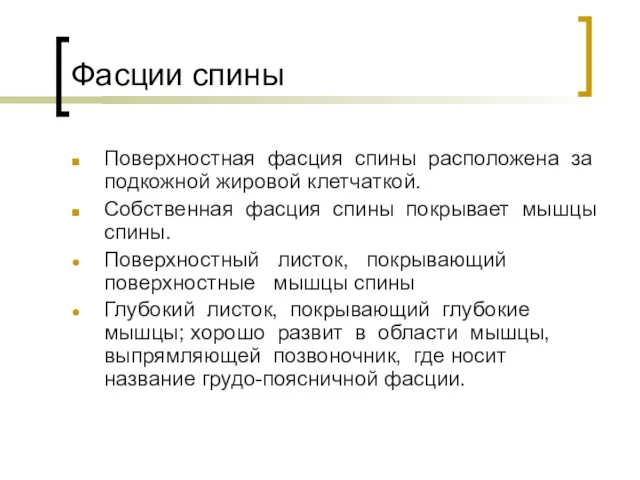 Фасции спины Поверхностная фасция спины расположена за подкожной жировой клетчаткой.