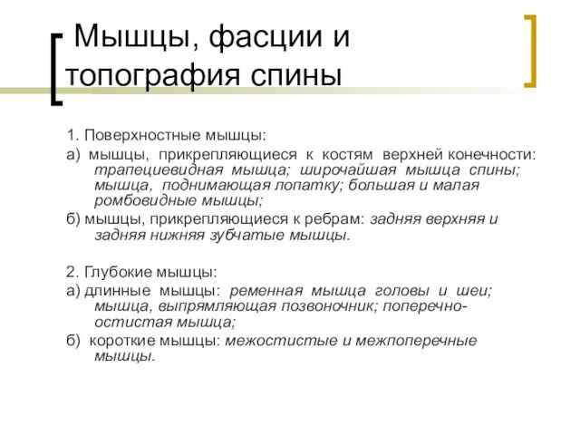 Мышцы, фасции и топография спины 1. Поверхностные мышцы: а) мышцы,