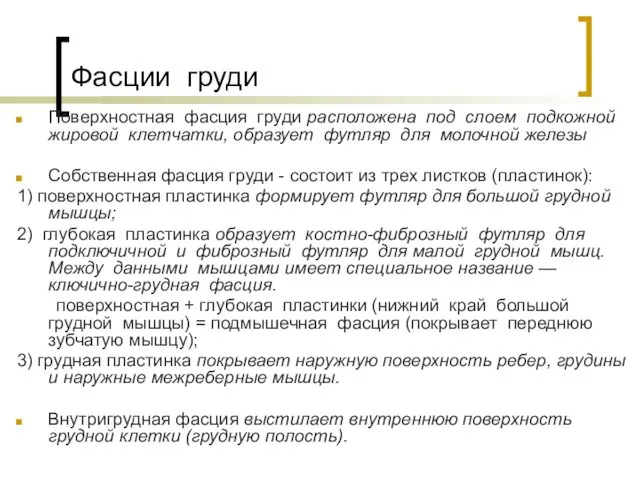 Фасции груди Поверхностная фасция груди расположена под слоем подкожной жировой