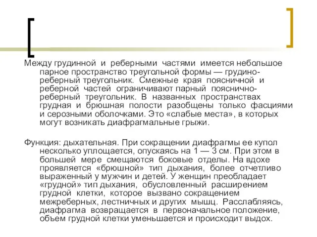 Между грудинной и реберными частями имеется небольшое парное пространство треугольной