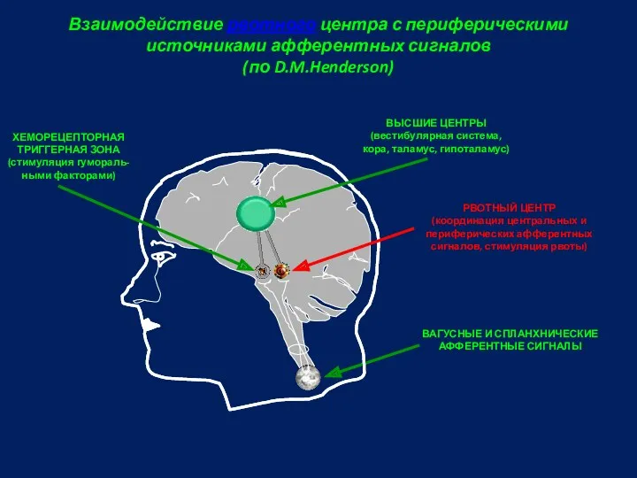 Взаимодействие рвотного центра с периферическими источниками афферентных сигналов (по D.M.Henderson) ХЕМОРЕЦЕПТОРНАЯ ТРИГГЕРНАЯ ЗОНА