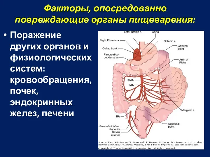 Факторы, опосредованно повреждающие органы пищеварения: Поражение других органов и физиологических систем: кровообращения, почек, эндокринных желез, печени