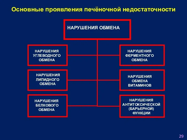 Основные проявления печёночной недостаточности НАРУШЕНИЯ ОБМЕНА НАРУШЕНИЯ УГЛЕВОДНОГО ОБМЕНА НАРУШЕНИЯ