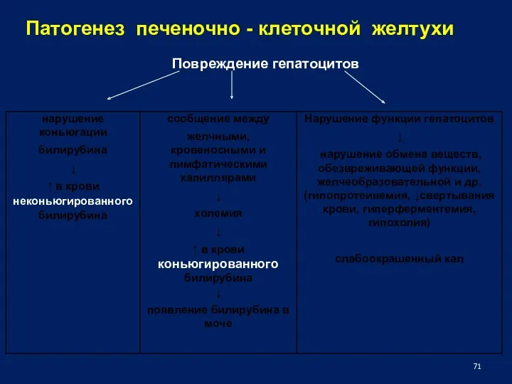 Патогенез печеночно - клеточной желтухи Повреждение гепатоцитов