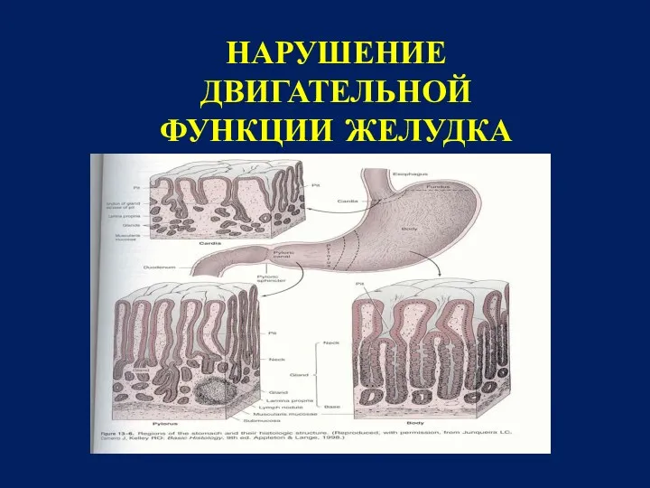 НАРУШЕНИЕ ДВИГАТЕЛЬНОЙ ФУНКЦИИ ЖЕЛУДКА