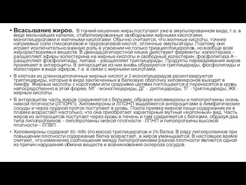 Всасывание жиров. В тонкий кишечник жиры поступают уже в эмульгированном