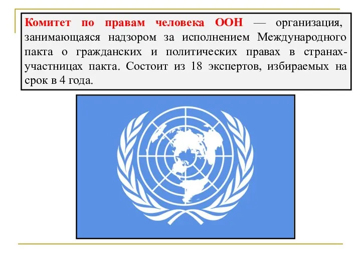Комитет по правам человека ООН — организация, занимающаяся надзором за