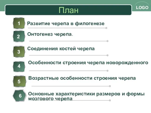 План Развитие черепа в филогенезе 1 Онтогенез черепа. 2 3