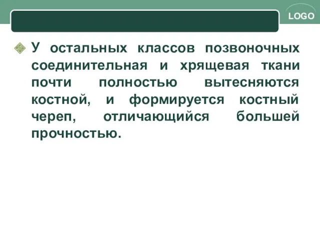 У остальных классов позвоночных соединительная и хрящевая ткани почти полностью