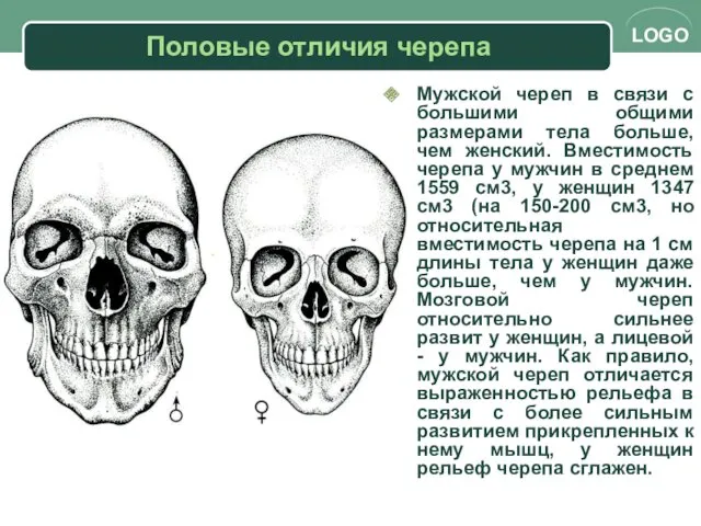 Половые отличия черепа Мужской череп в связи с большими общими