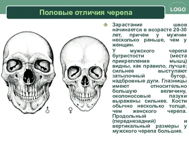 Половые отличия черепа Зарастание швов начинается в возрасте 20-30 лет,