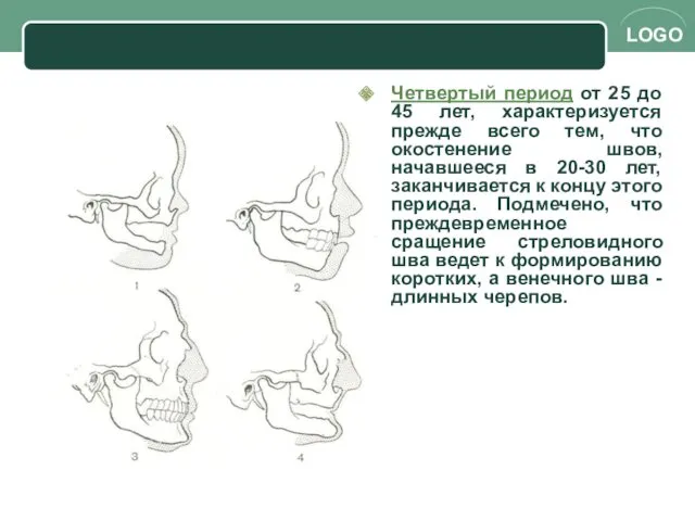 Четвертый период от 25 до 45 лет, характеризуется прежде всего