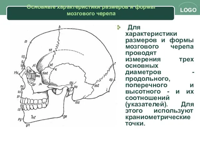 Основные характеристики размеров и формы мозгового черепа Для характеристики размеров