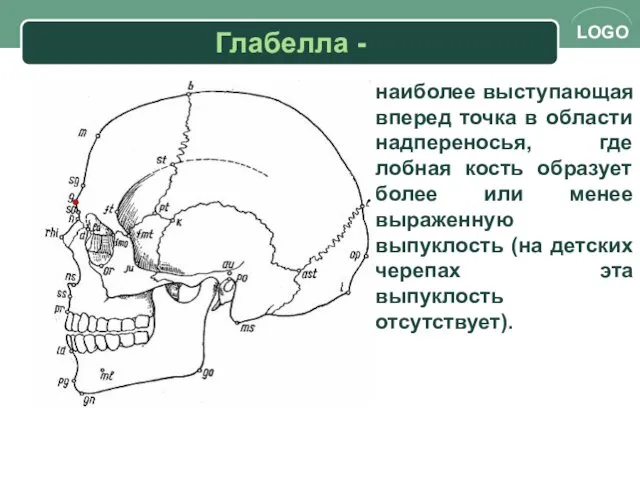 Глабелла - наиболее выступающая вперед точка в области надпереносья, где