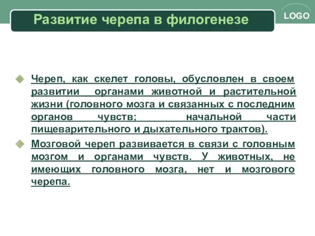 Развитие черепа в филогенезе Череп, как скелет головы, обусловлен в