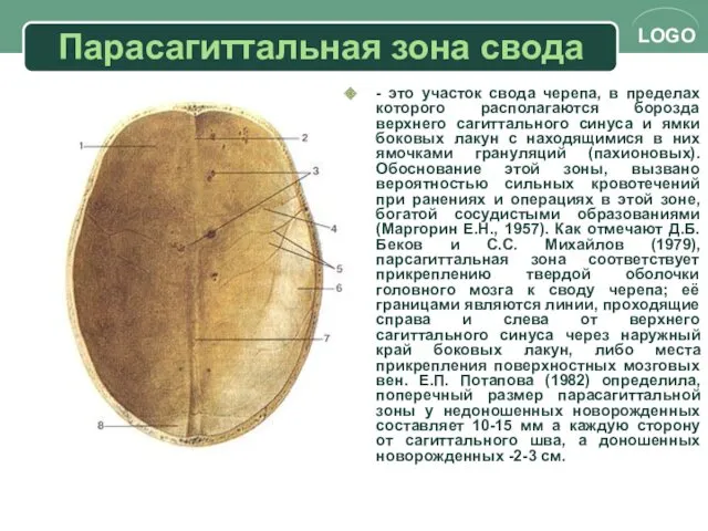 Парасагиттальная зона свода - это участок свода черепа, в пределах