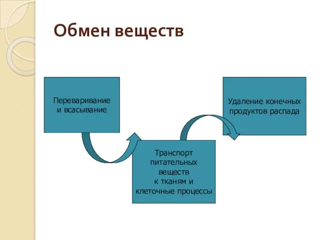 Обмен веществ Переваривание и всасывание Транспорт питательных веществ к тканям