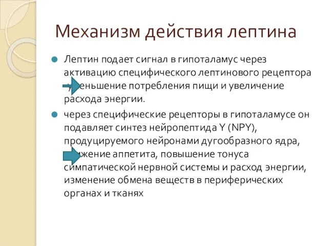 Механизм действия лептина Лептин подает сигнал в гипоталамус через активацию