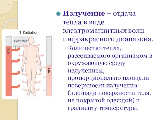 Излучение – отдача тепла в виде электромагнитных волн инфракрасного диапазона.