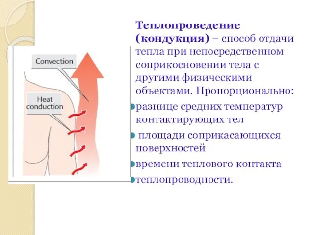 Теплопроведение (кондукция) – способ отдачи тепла при непосредственном соприкосновении тела