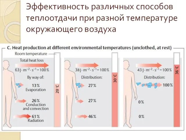 Эффективность различных способов теплоотдачи при разной температуре окружающего воздуха