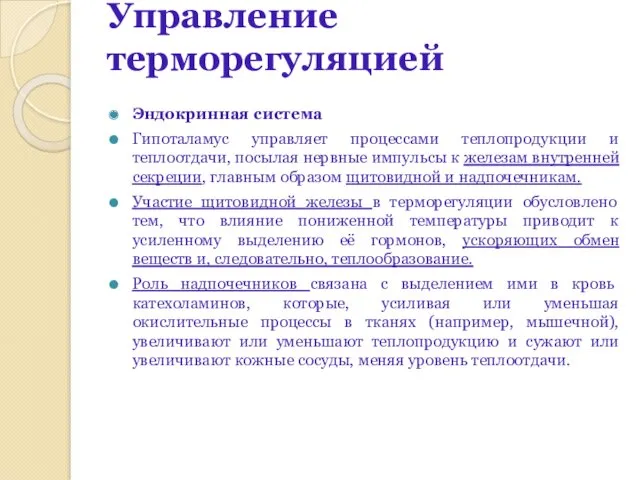 Управление терморегуляцией Эндокринная система Гипоталамус управляет процессами теплопродукции и теплоотдачи,