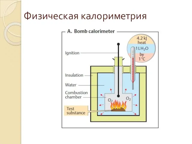 Физическая калориметрия