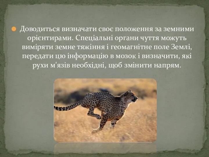 Доводиться визначати своє положення за земними орієнтирами. Спеціальні органи чуття