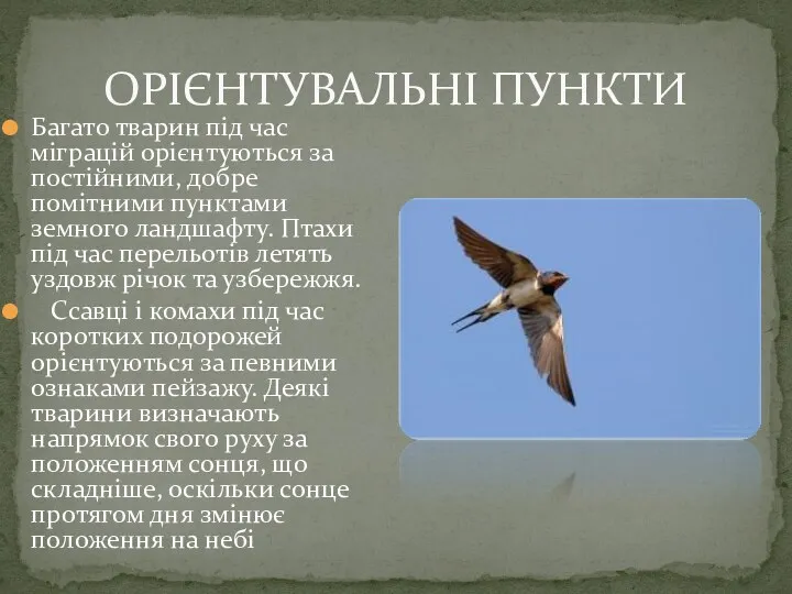 Багато тварин під час міграцій орієнтуються за постійними, добре помітними