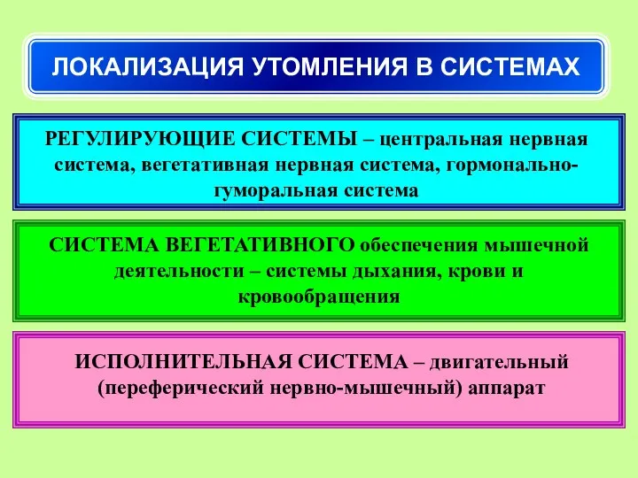 ЛОКАЛИЗАЦИЯ УТОМЛЕНИЯ В СИСТЕМАХ РЕГУЛИРУЮЩИЕ СИСТЕМЫ – центральная нервная система,