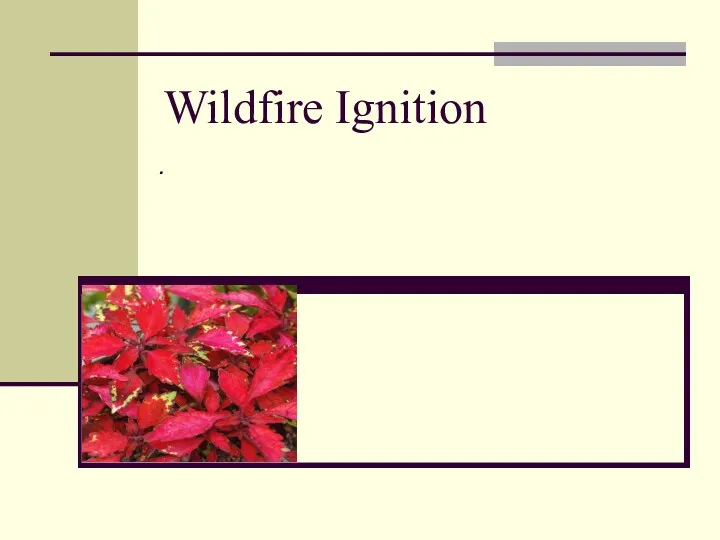 Wildfire Ignition .