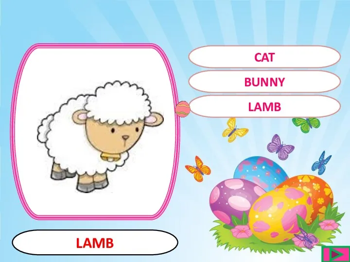 LAMB LAMB BUNNY CAT