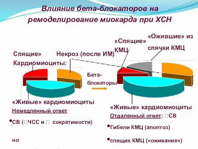 Влияние бета-блокаторов на ремоделирование миокарда при ХСН Некроз (после ИМ)