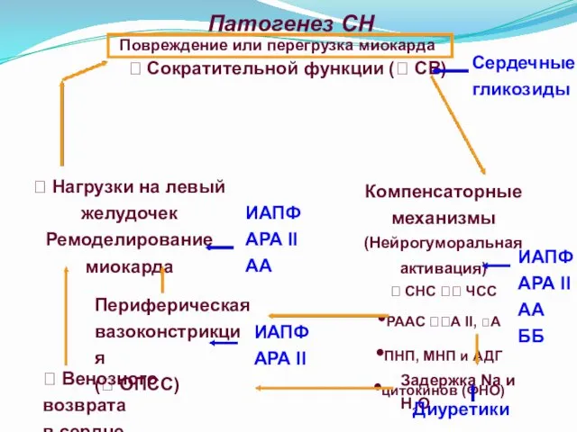 Патогенез СН  Нагрузки на левый желудочек Ремоделирование миокарда 