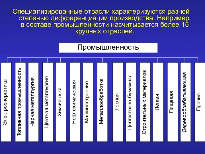 Специализированные отрасли характеризуются разной степенью дифференциации производства. Например, в составе