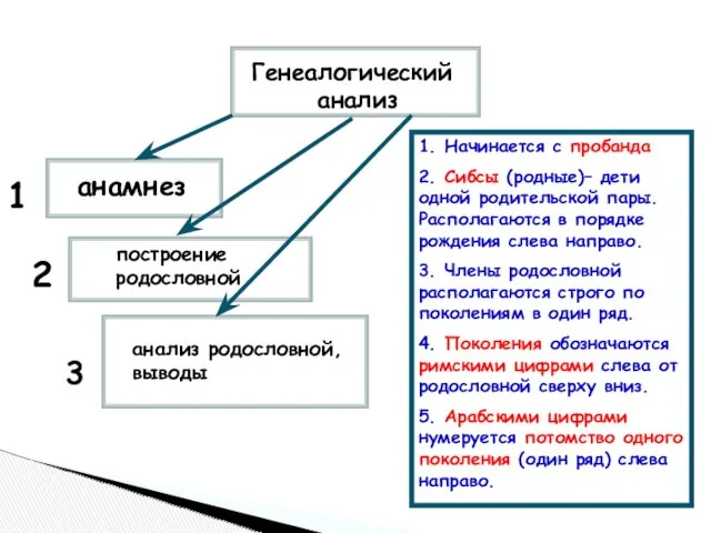 Генеалогический анализ анамнез построение родословной анализ родословной, выводы 1 2