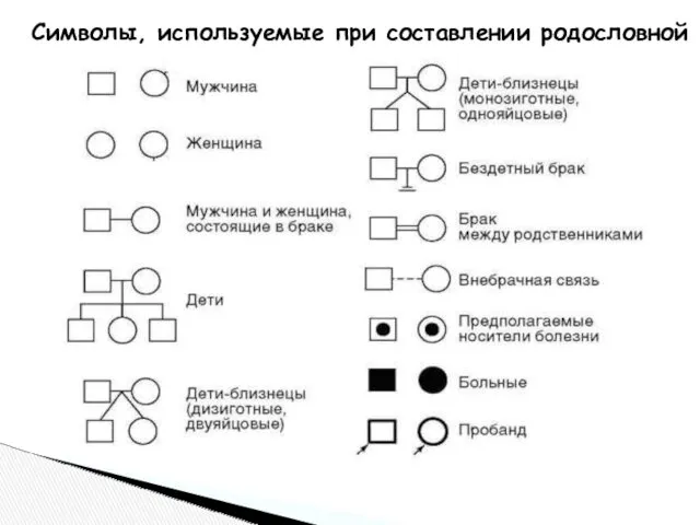 Символы, используемые при составлении родословной