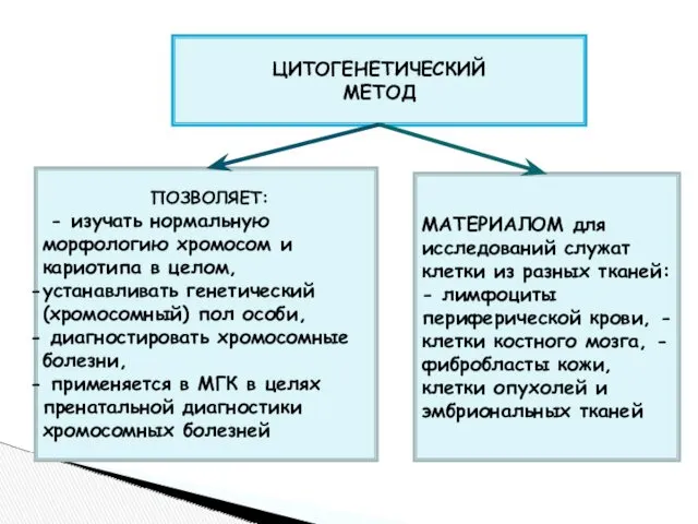 ЦИТОГЕНЕТИЧЕСКИЙ МЕТОД ПОЗВОЛЯЕТ: - изучать нормальную морфологию хромосом и кариотипа