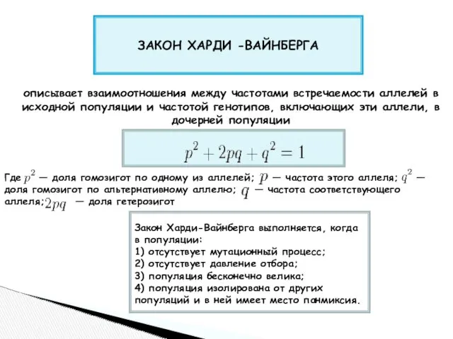 ЗАКОН ХАРДИ -ВАЙНБЕРГА описывает взаимоотношения между частотами встречаемости аллелей в