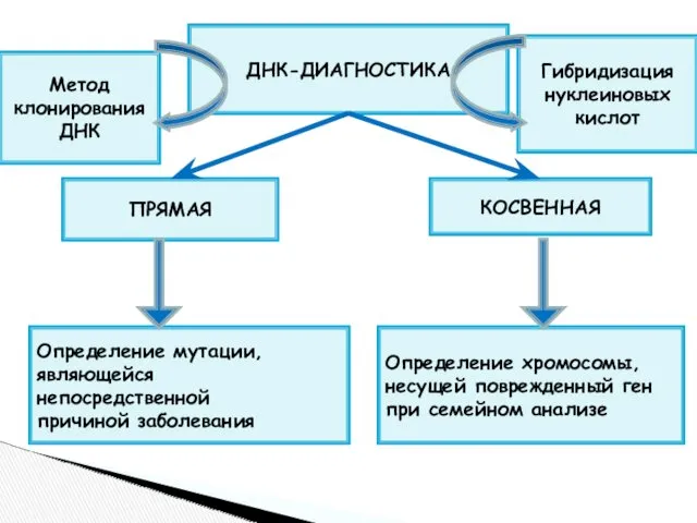 ДНК-ДИАГНОСТИКА ПРЯМАЯ КОСВЕННАЯ Определение мутации, являющейся непосредственной причиной заболевания Определение