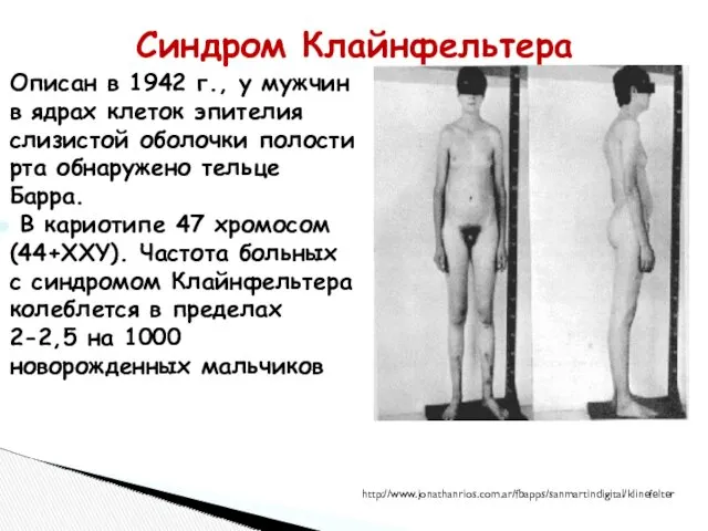 Описан в 1942 г., у мужчин в ядрах клеток эпителия